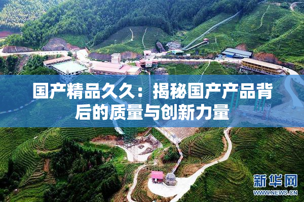 国产精品久久：揭秘国产产品背后的质量与创新力量