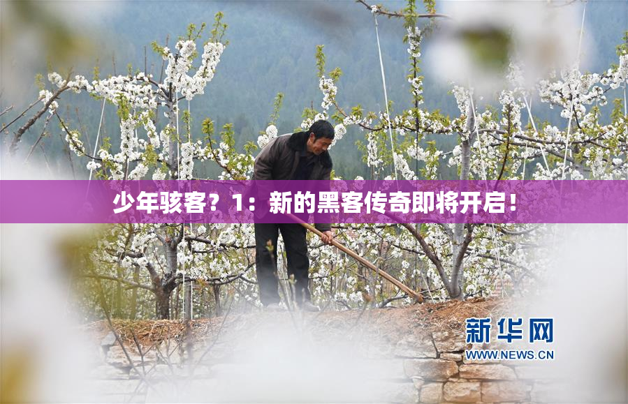 少年骇客？1：新的黑客传奇即将开启！