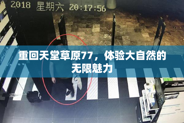 重回天堂草原77，体验大自然的无限魅力