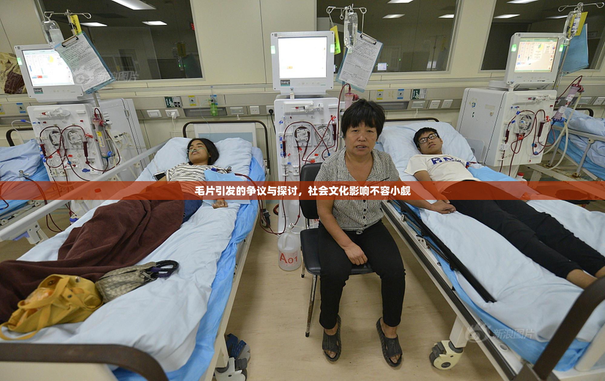 毛片引发的争议与探讨，社会文化影响不容小觑