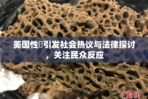 美国性婬引发社会热议与法律探讨，关注民众反应