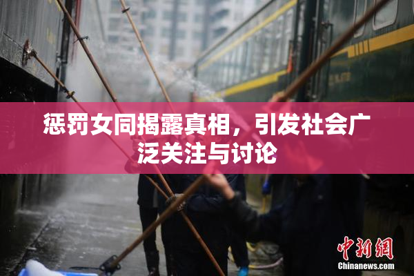 惩罚女同揭露真相，引发社会广泛关注与讨论