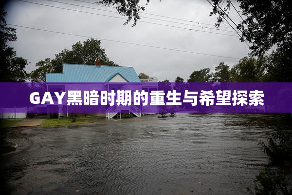 GAY黑暗时期的重生与希望探索