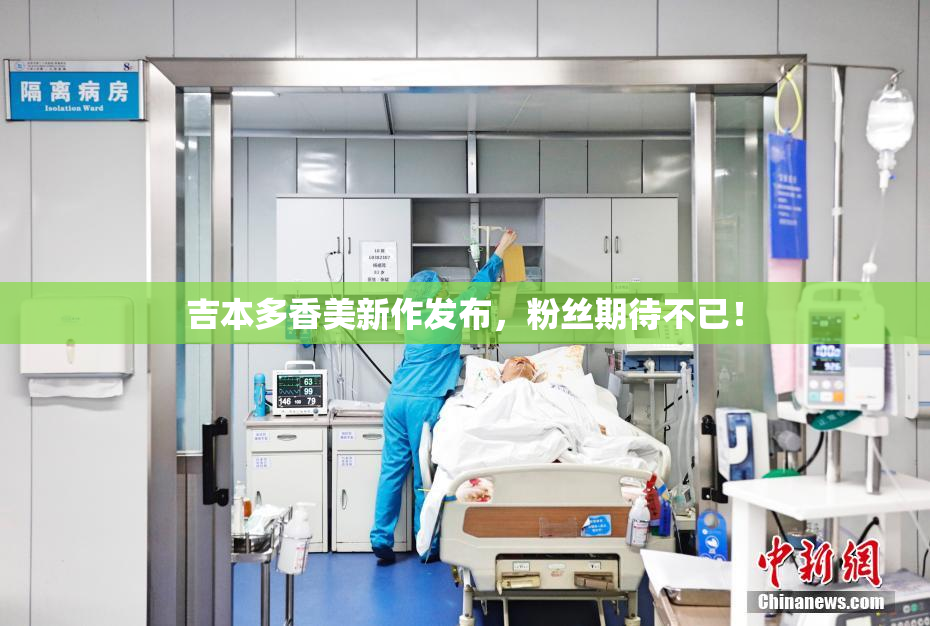 吉本多香美新作发布，粉丝期待不已！