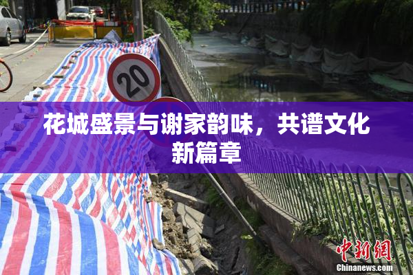 花城盛景与谢家韵味，共谱文化新篇章