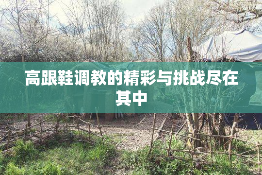 高跟鞋调教的精彩与挑战尽在其中