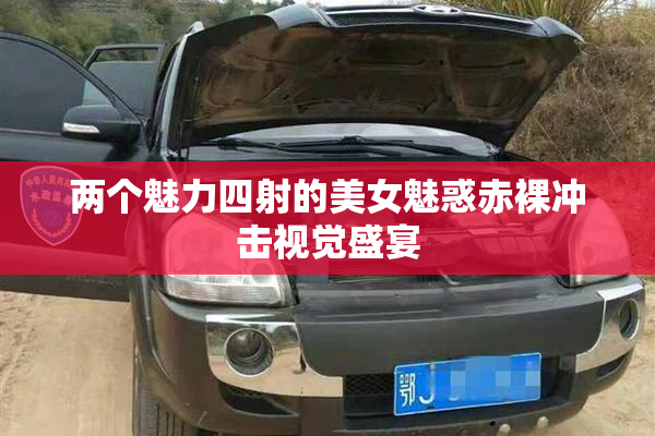 两个魅力四射的美女魅惑赤裸冲击视觉盛宴