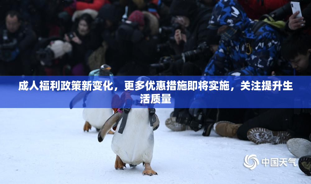 成人福利政策新变化，更多优惠措施即将实施，关注提升生活质量
