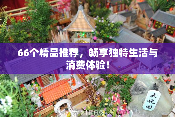 66个精品推荐，畅享独特生活与消费体验！