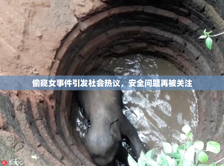 偷窥女事件引发社会热议，安全问题再被关注