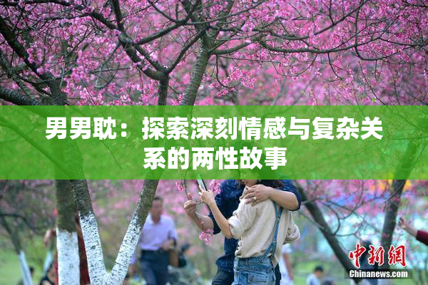 男男耽：探索深刻情感与复杂关系的两性故事