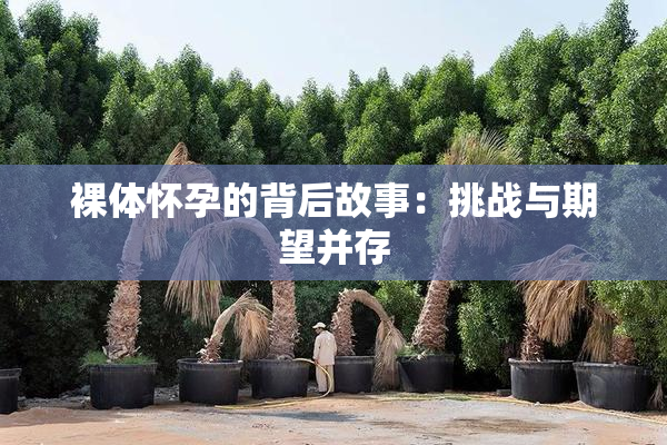 裸体怀孕的背后故事：挑战与期望并存