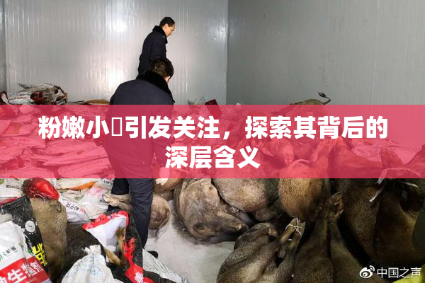 粉嫩小泬引发关注，探索其背后的深层含义