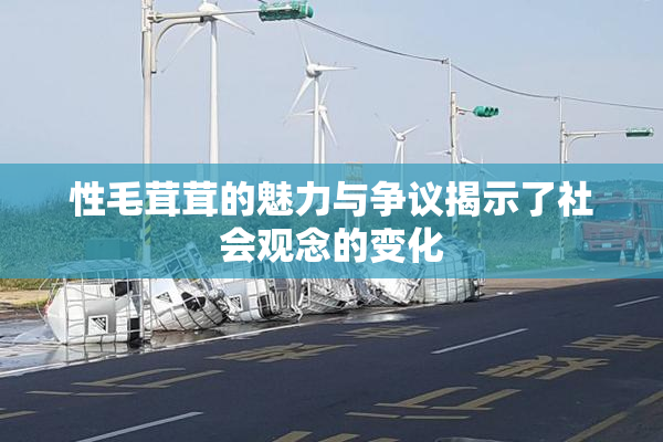 性毛茸茸的魅力与争议揭示了社会观念的变化