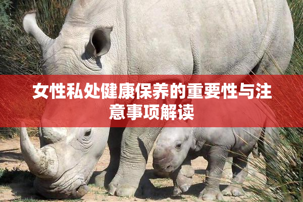 女性私处健康保养的重要性与注意事项解读