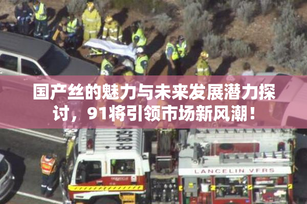 国产丝的魅力与未来发展潜力探讨，91将引领市场新风潮！