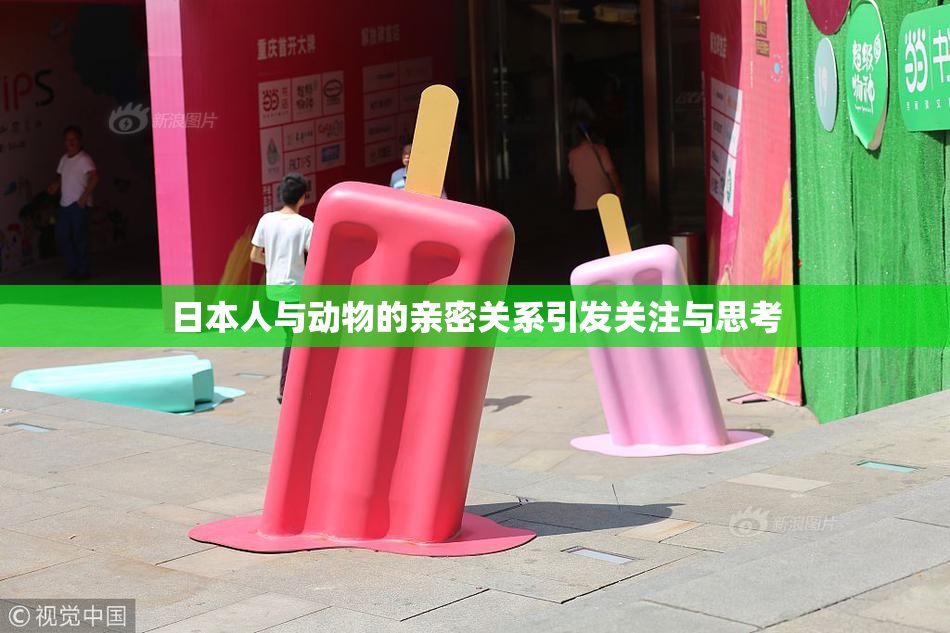 日本人与动物的亲密关系引发关注与思考