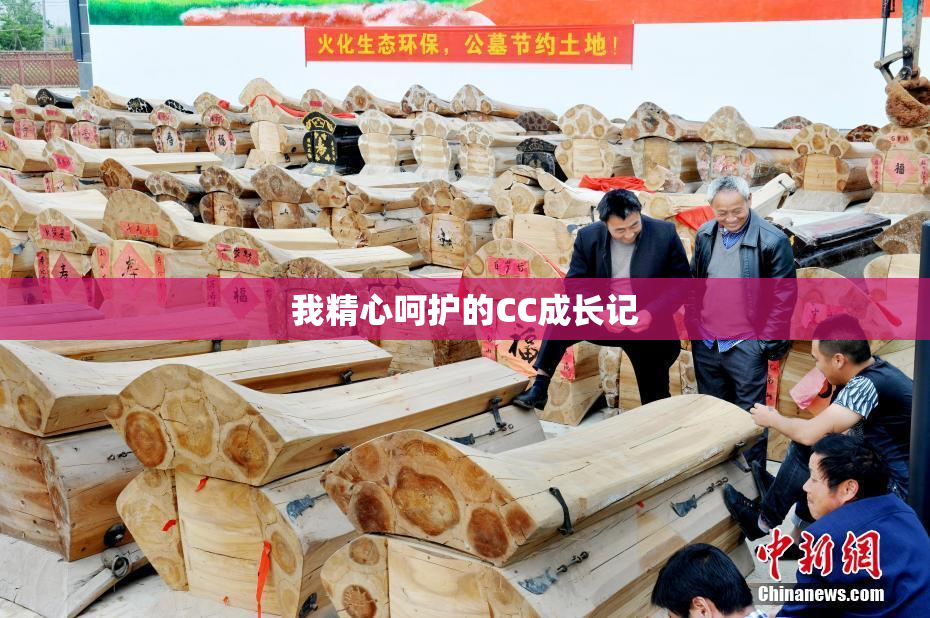 我精心呵护的CC成长记