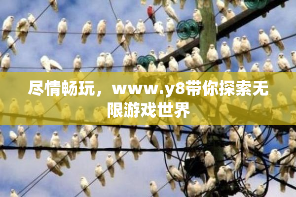 尽情畅玩，www.y8带你探索无限游戏世界
