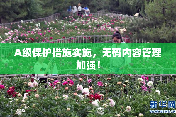 A级保护措施实施，无码内容管理加强！