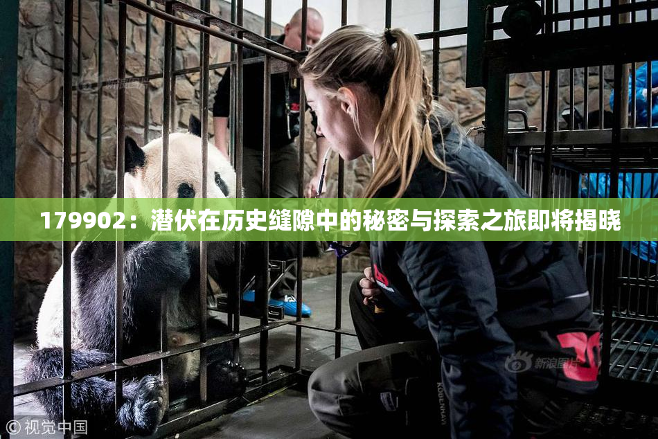 179902：潜伏在历史缝隙中的秘密与探索之旅即将揭晓