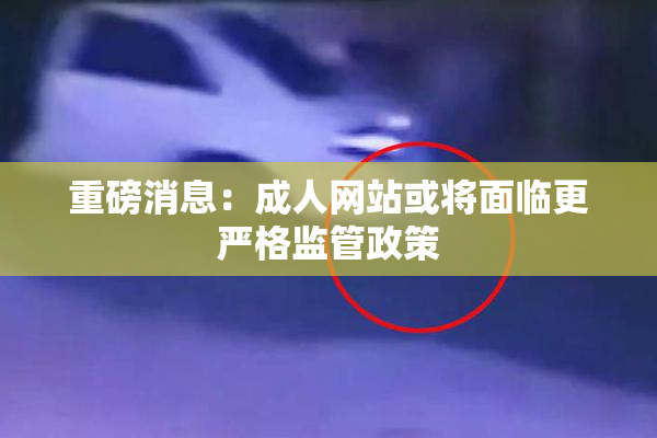 重磅消息：成人网站或将面临更严格监管政策