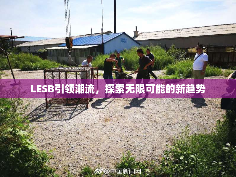 LESB引领潮流，探索无限可能的新趋势