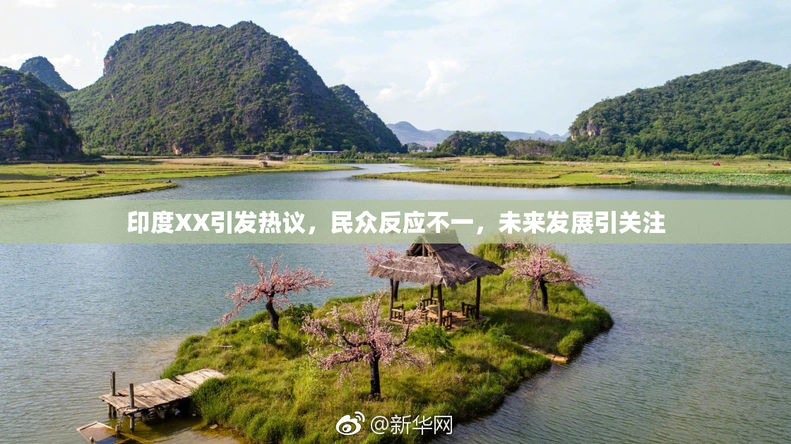 印度XX引发热议，民众反应不一，未来发展引关注