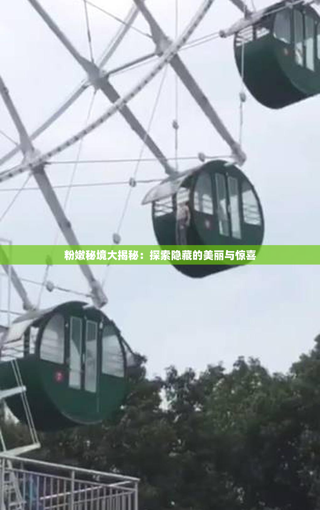 粉嫩秘境大揭秘：探索隐藏的美丽与惊喜