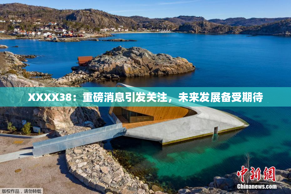 XXXX38：重磅消息引发关注，未来发展备受期待