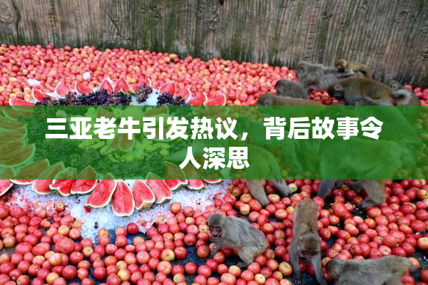 三亚老牛引发热议，背后故事令人深思