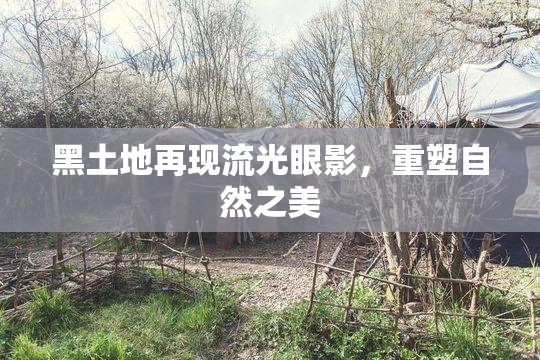 黑土地再现流光眼影，重塑自然之美