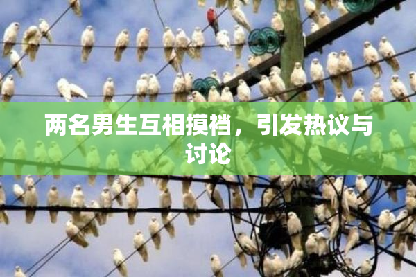 两名男生互相摸裆，引发热议与讨论