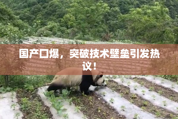 国产囗爆，突破技术壁垒引发热议！