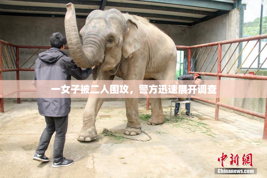一女子被二人围攻，警方迅速展开调查