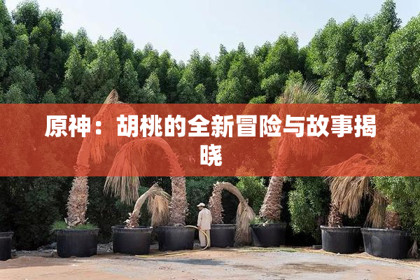 原神：胡桃的全新冒险与故事揭晓