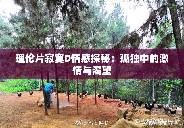 理伦片寂寞D情感探秘：孤独中的激情与渴望