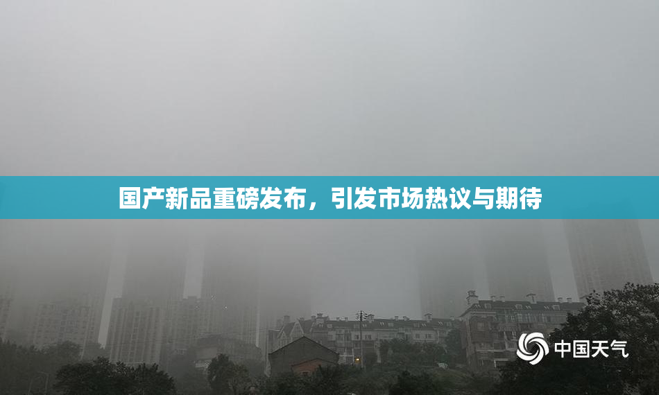 国产新品重磅发布，引发市场热议与期待