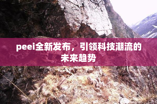 peei全新发布，引领科技潮流的未来趋势