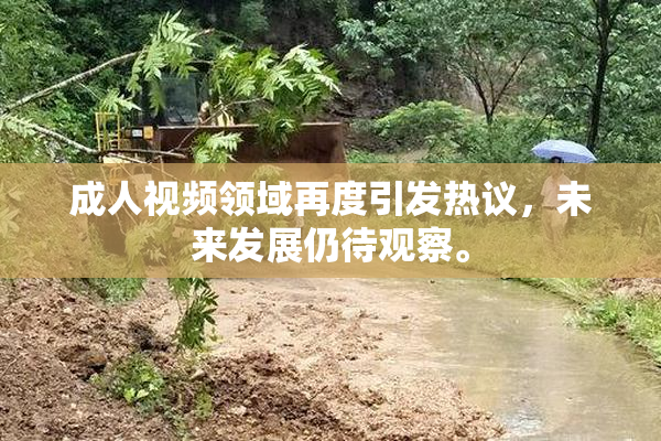 成人视频领域再度引发热议，未来发展仍待观察。