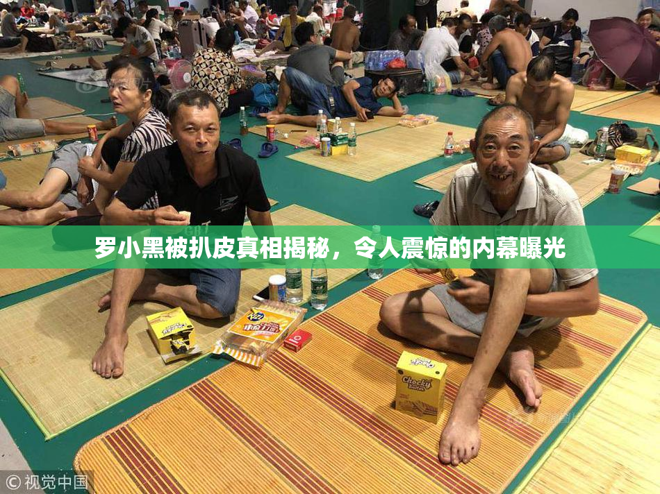 罗小黑被扒皮真相揭秘，令人震惊的内幕曝光