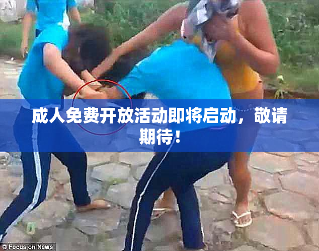 成人免费开放活动即将启动，敬请期待！