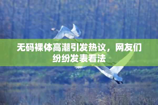 无码裸体高潮引发热议，网友们纷纷发表看法