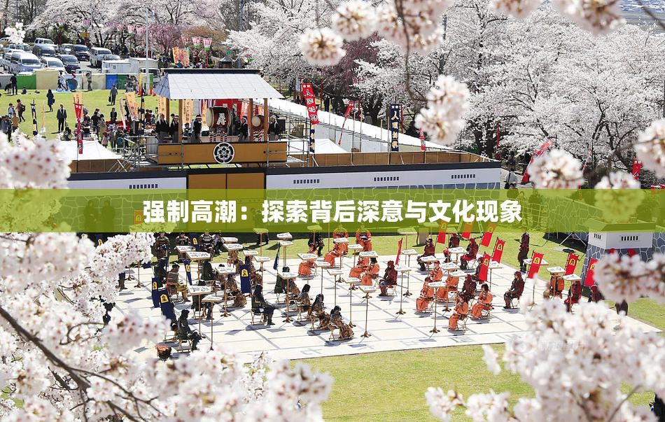 强制高潮：探索背后深意与文化现象