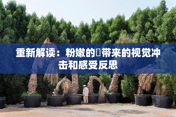 重新解读：粉嫩的泬带来的视觉冲击和感受反思