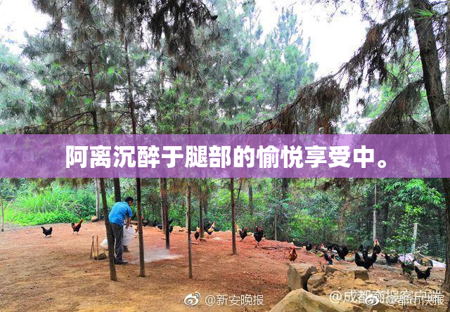 阿离沉醉于腿部的愉悦享受中。
