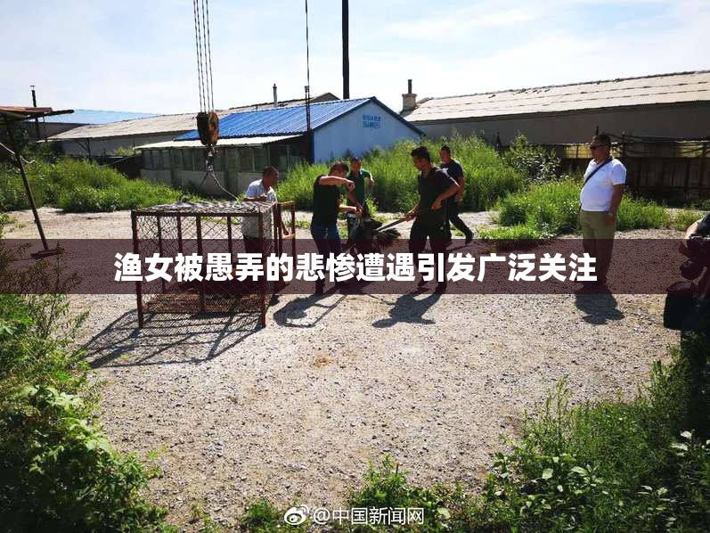 渔女被愚弄的悲惨遭遇引发广泛关注