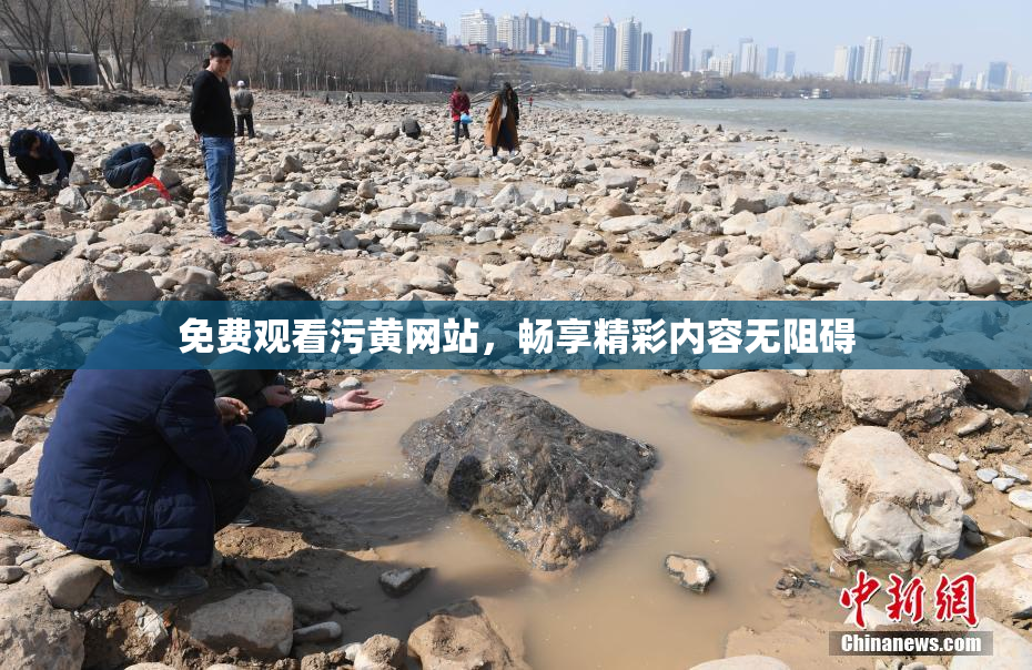 免费观看污黄网站，畅享精彩内容无阻碍