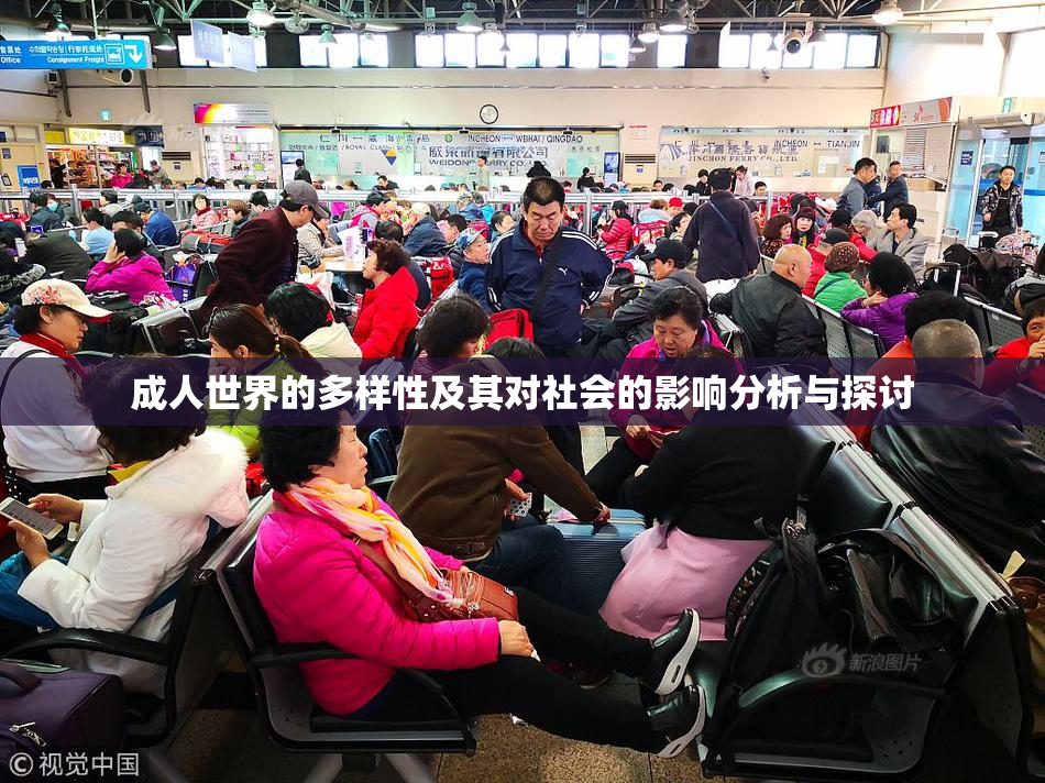 成人世界的多样性及其对社会的影响分析与探讨