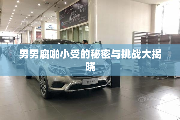 男男腐啪小受的秘密与挑战大揭晓